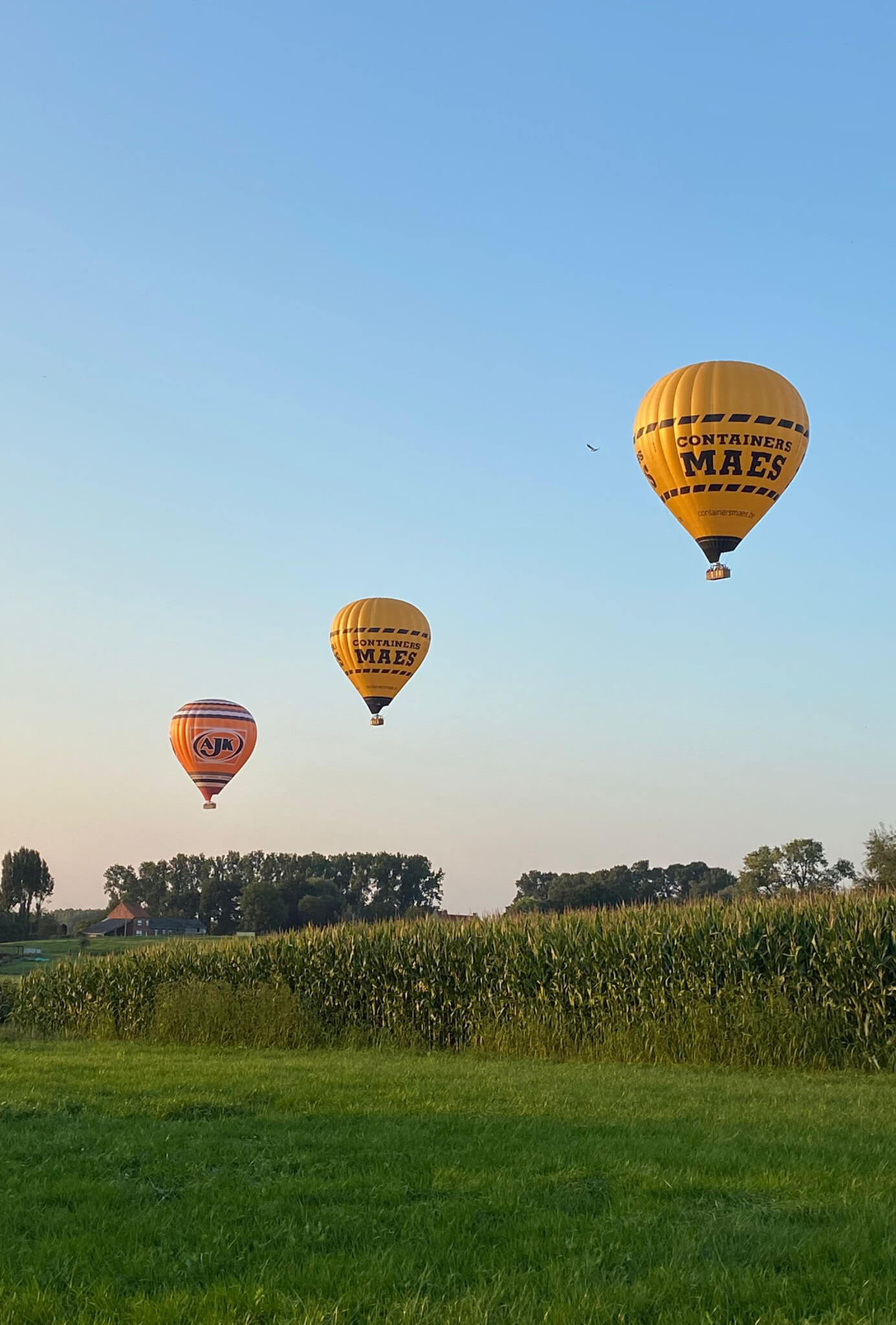verlies Plaats meesterwerk Ballonvaart met Step in Balloons - Ballonvaren in Limburg,.…