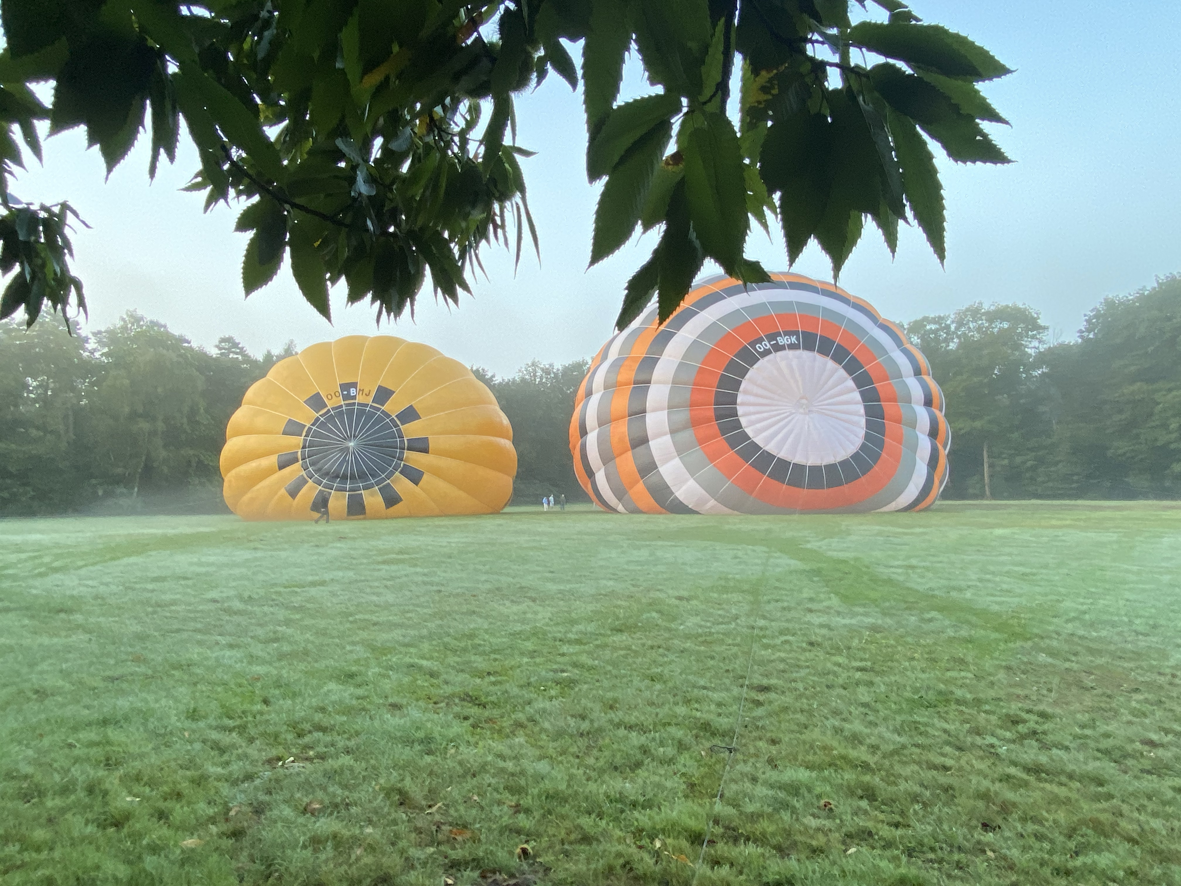 Ballonvaart Balen