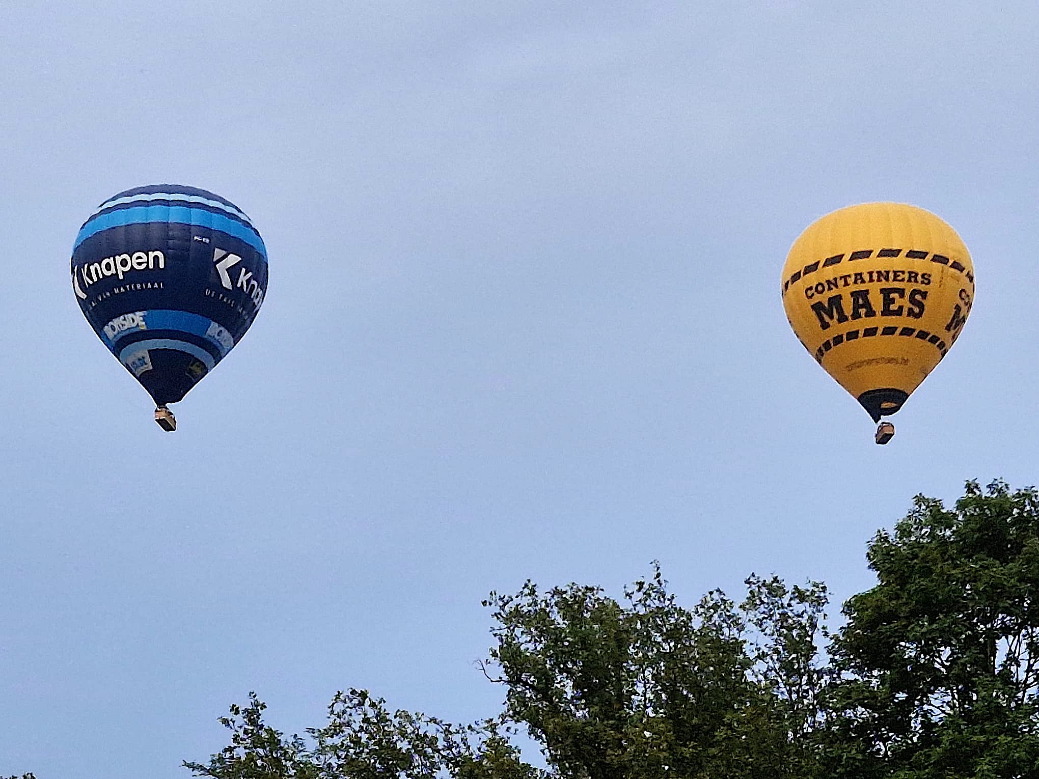 Aef01dee 9B6e 498C 8Fc0 33F4db6e8063