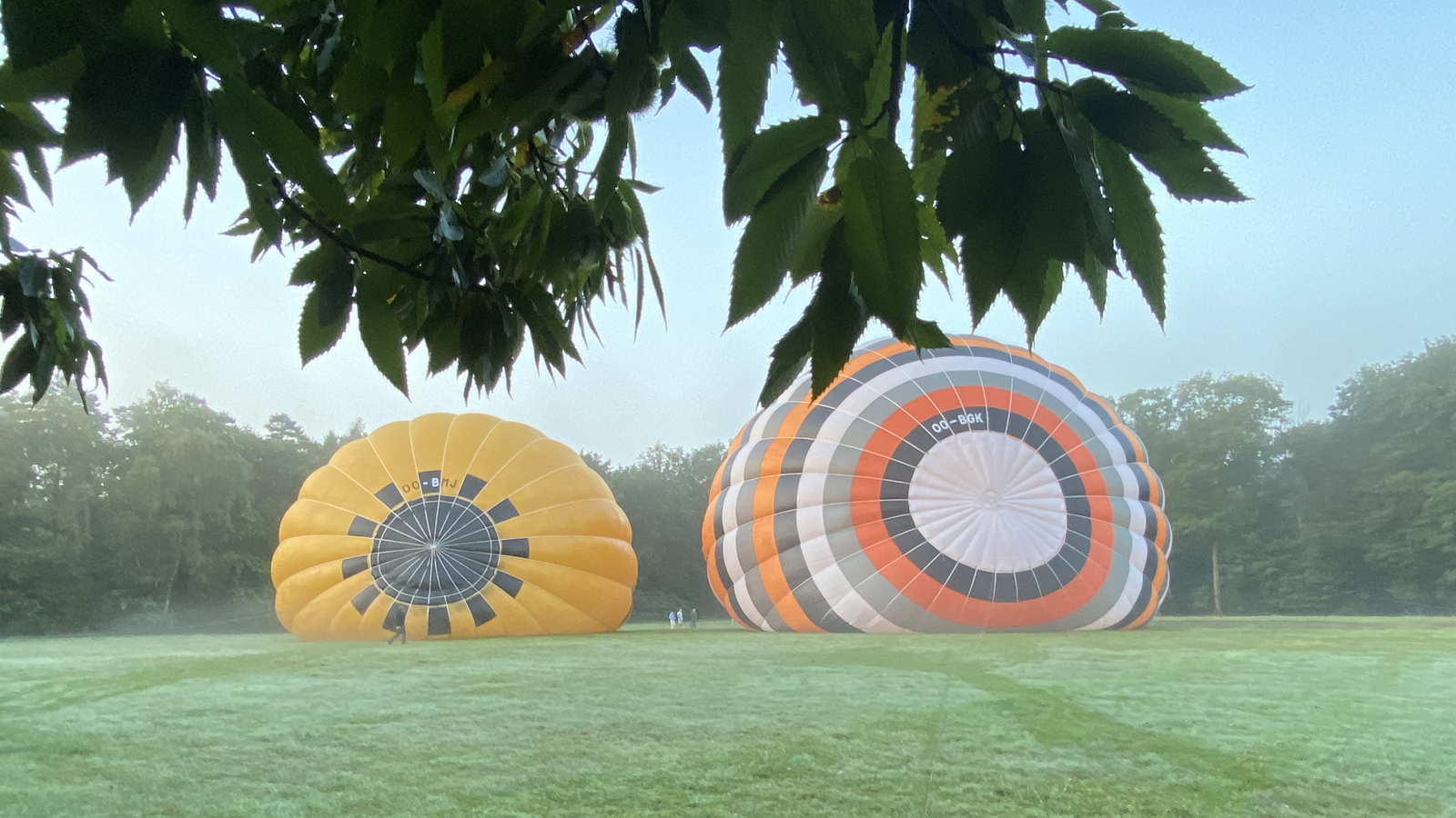 Ballonvaart Rijkevorsel