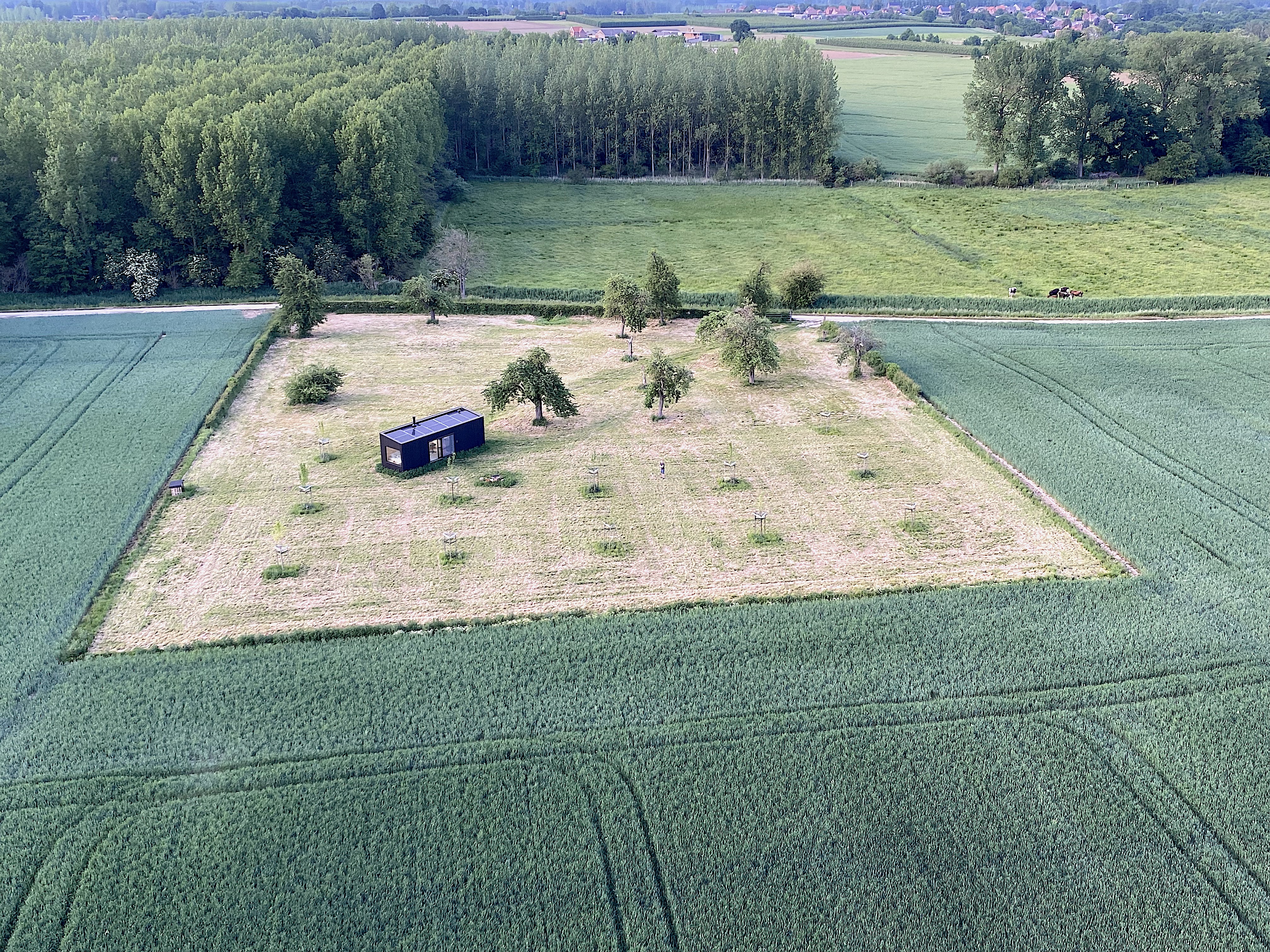 Ballonvlucht Zoutleeuw