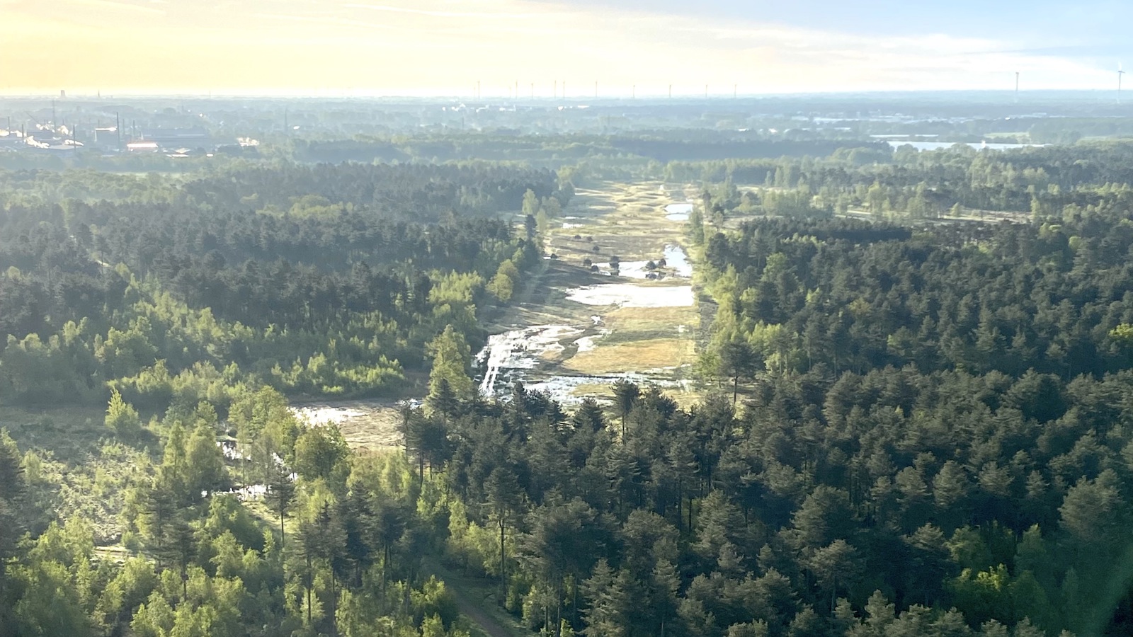 Cadeaubon ballonvaart Rijkevorsel