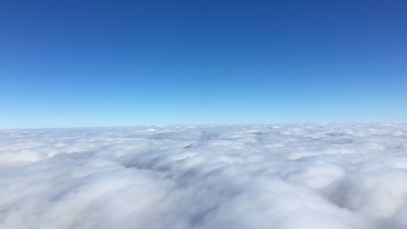 Cadeaubon ballonvaart Vosselaar