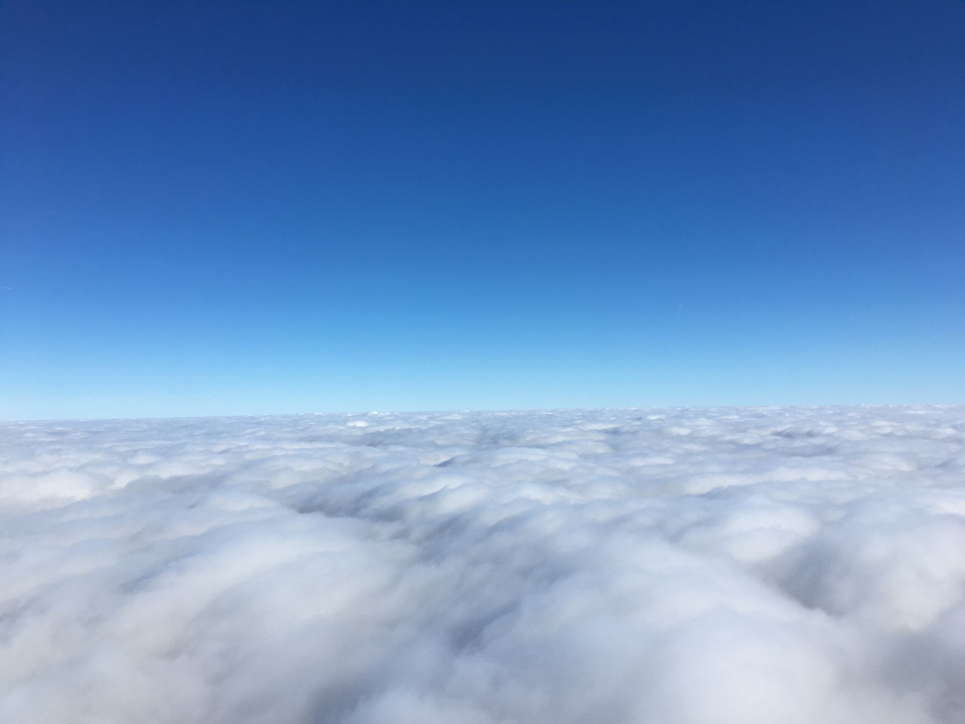 Cadeaubon ballonvaart Vosselaar