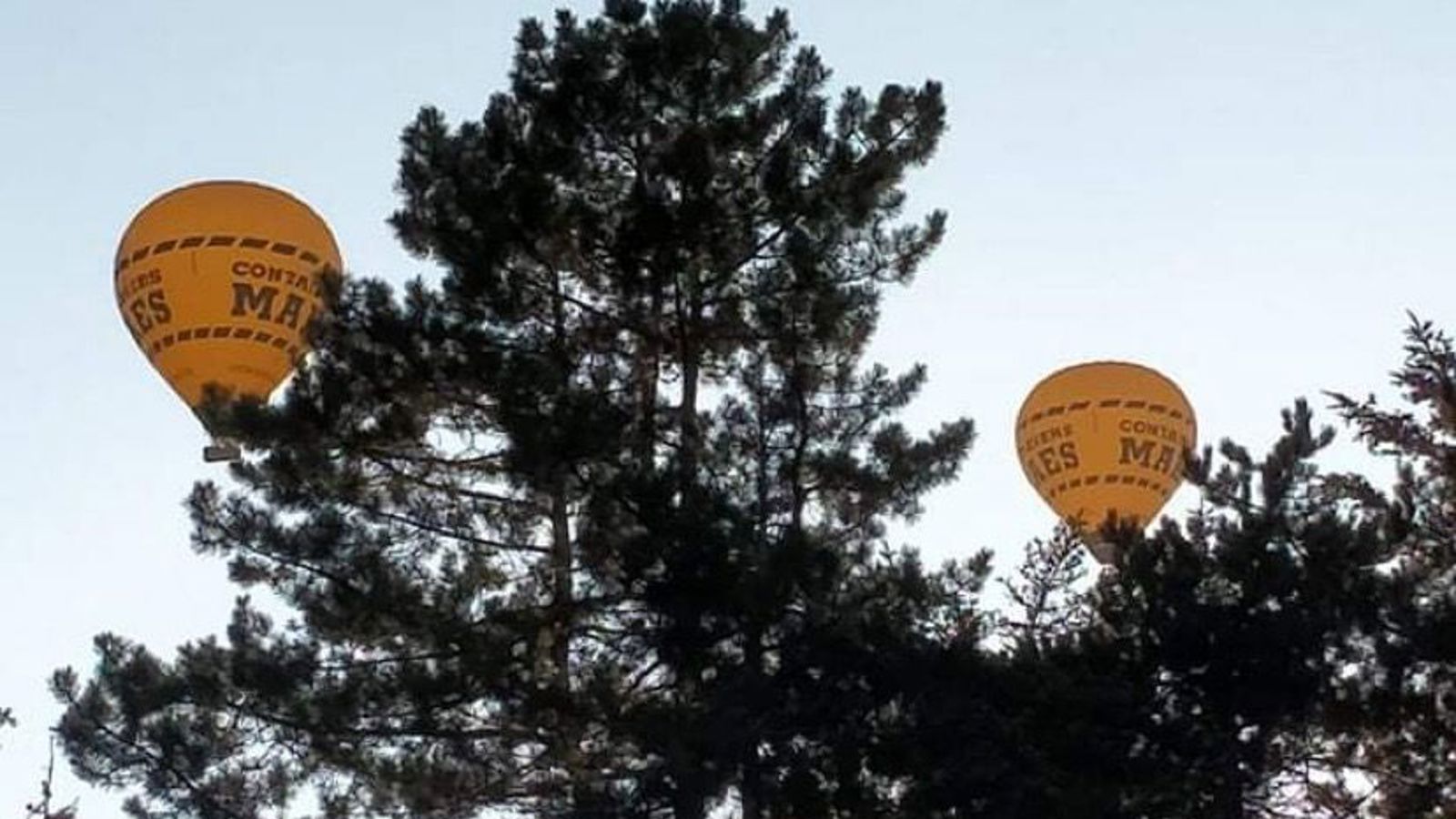 Ballonvlucht boven Westerlo
