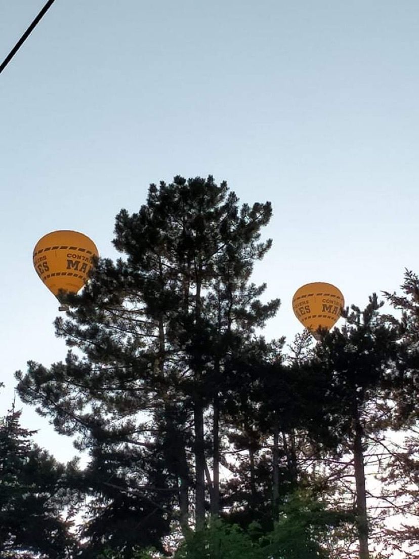 Ballonvlucht boven Westerlo