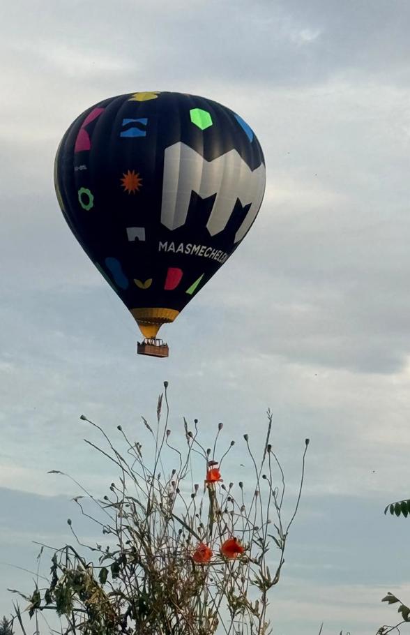 Ballonvaart Haspengouw