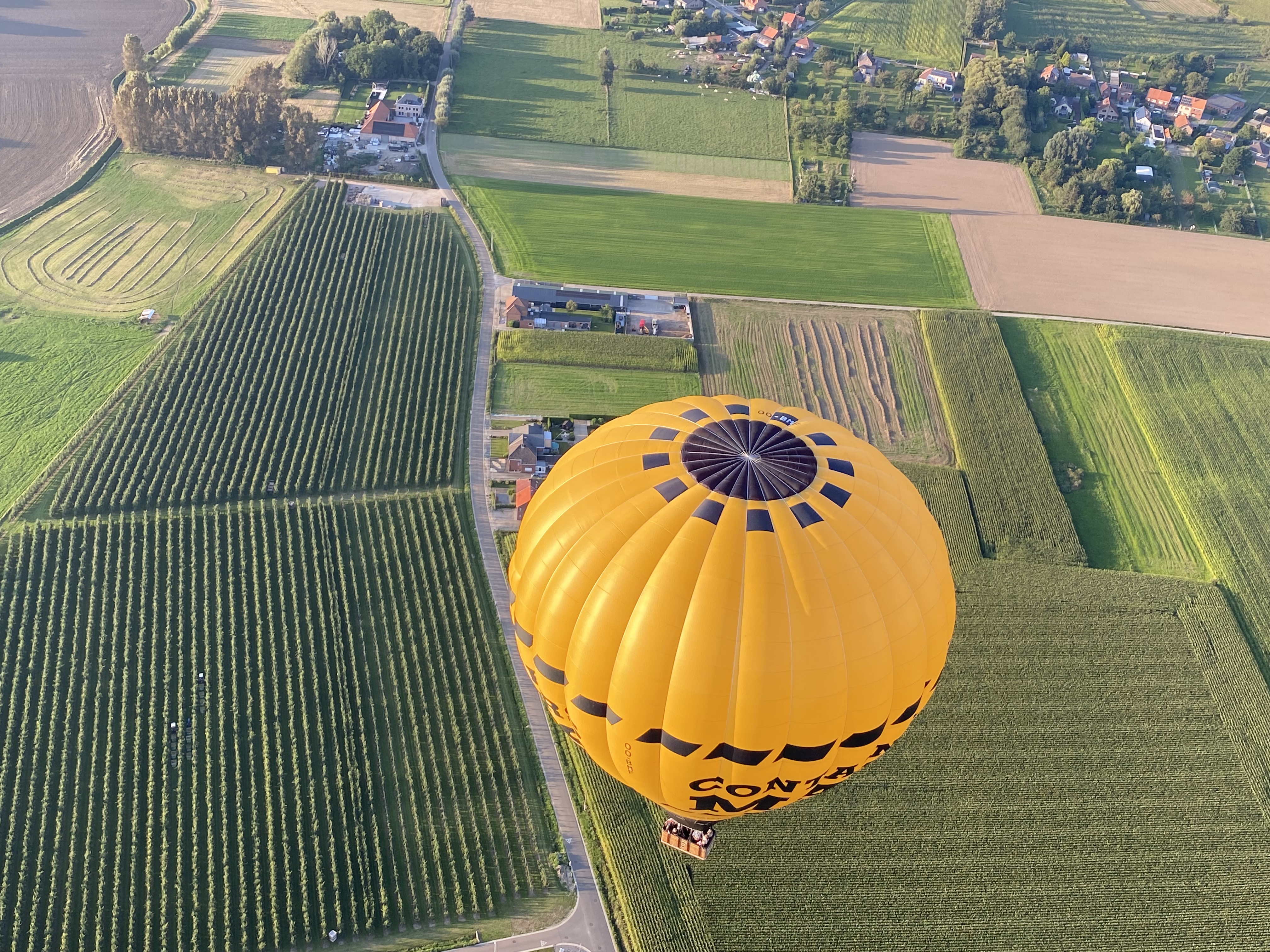 Ballonvaren Horst