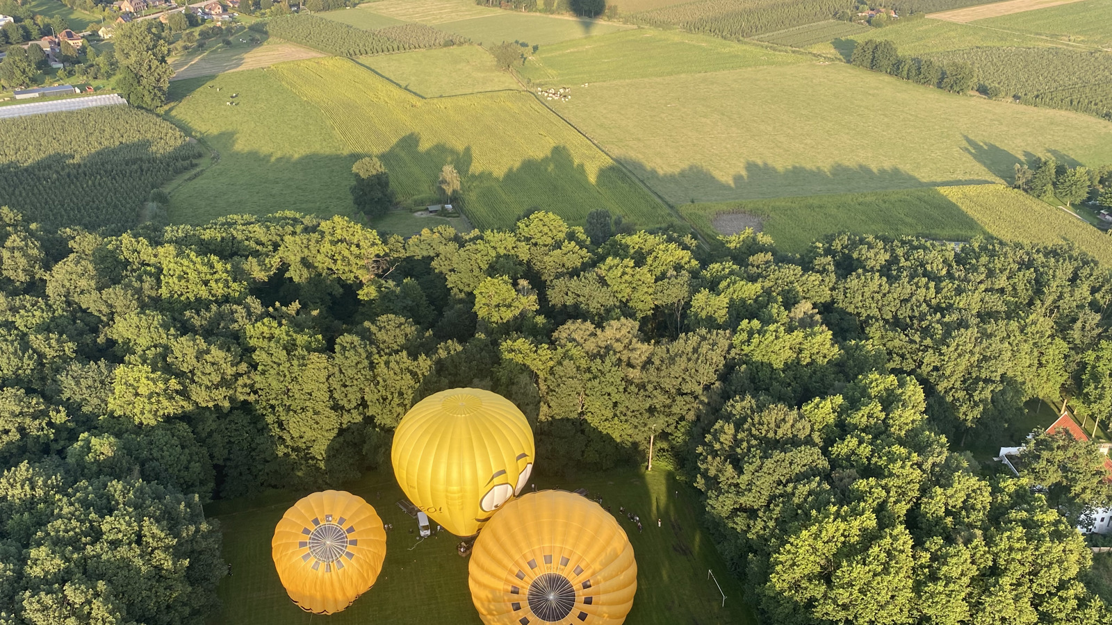 Ballonvlucht Leuven