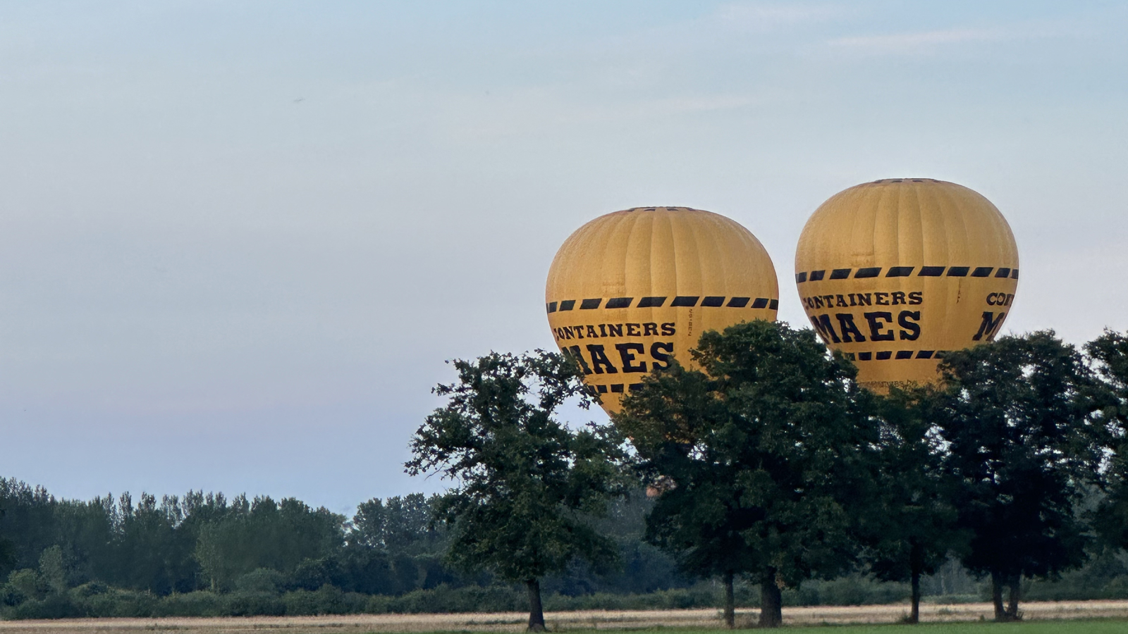 Cadeaubon ballonvaart Leuven