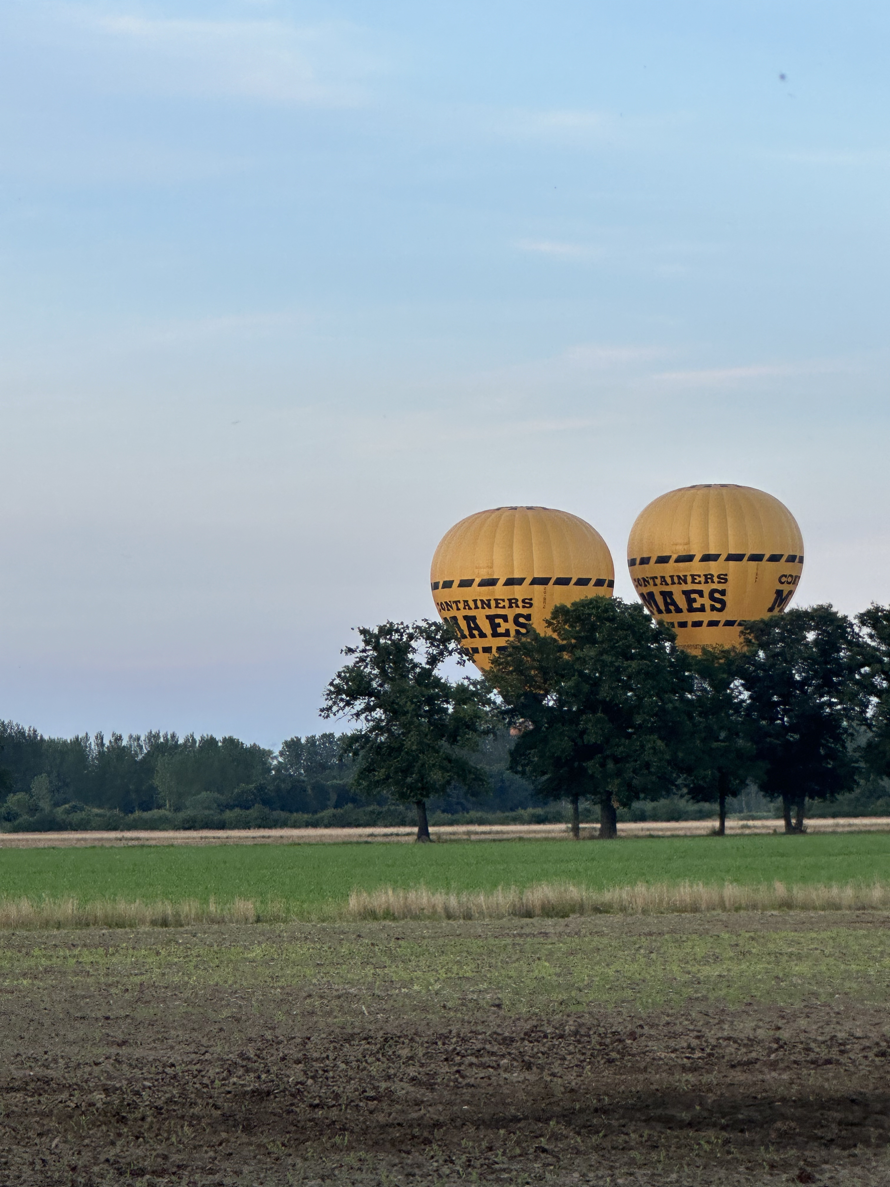 Cadeaubon ballonvaart Leuven