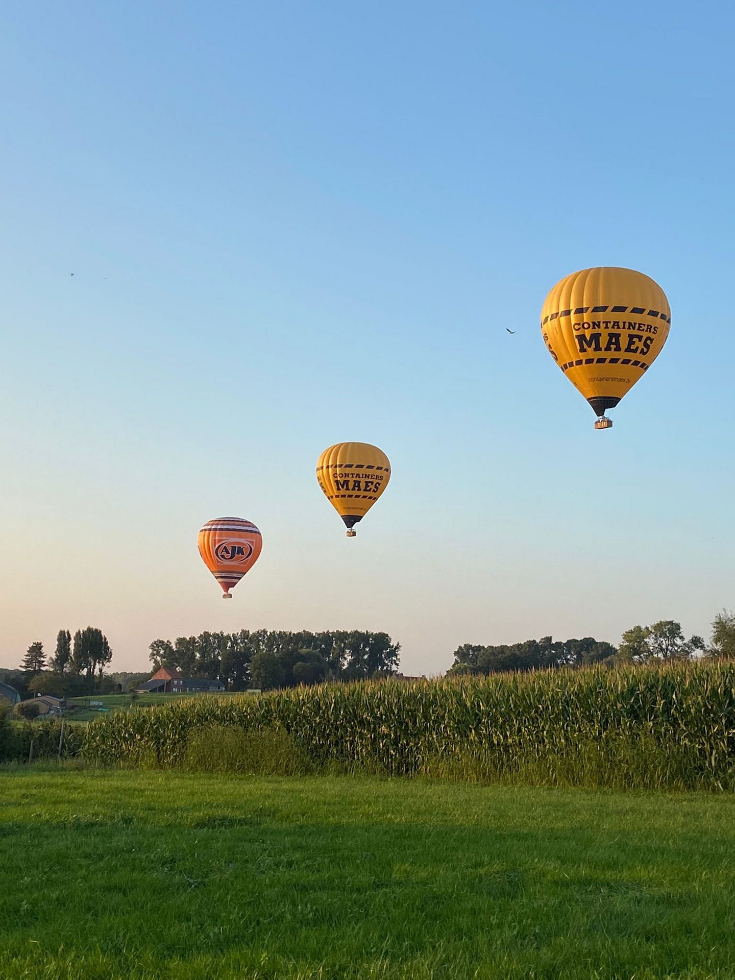 Ballonvaarten Hageland