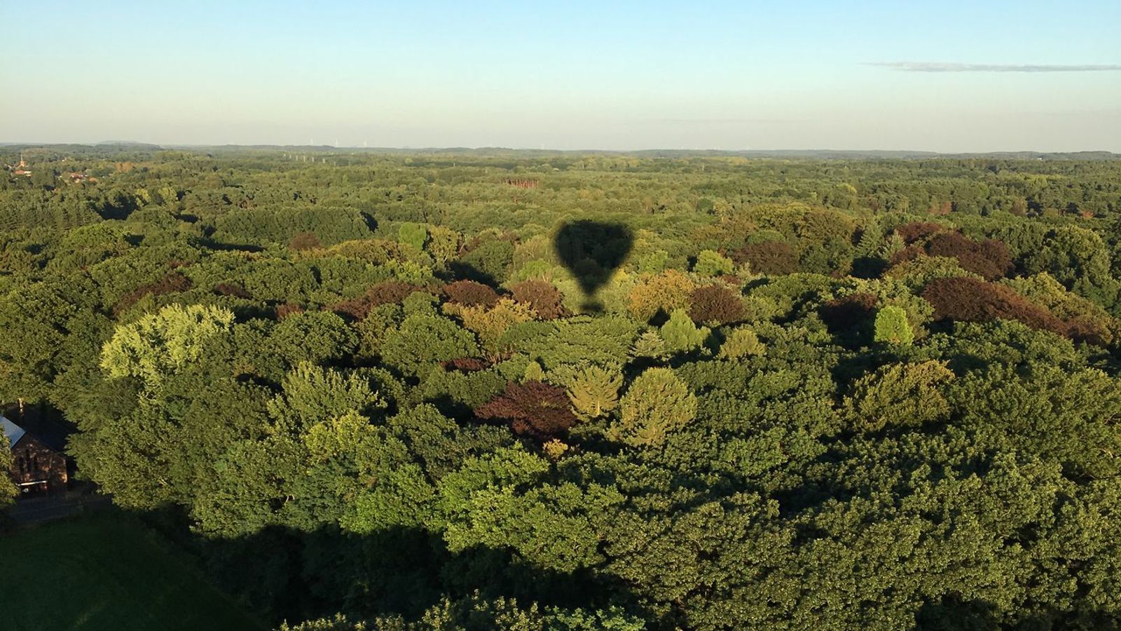 Cadeaubon ballonvaart Duffel