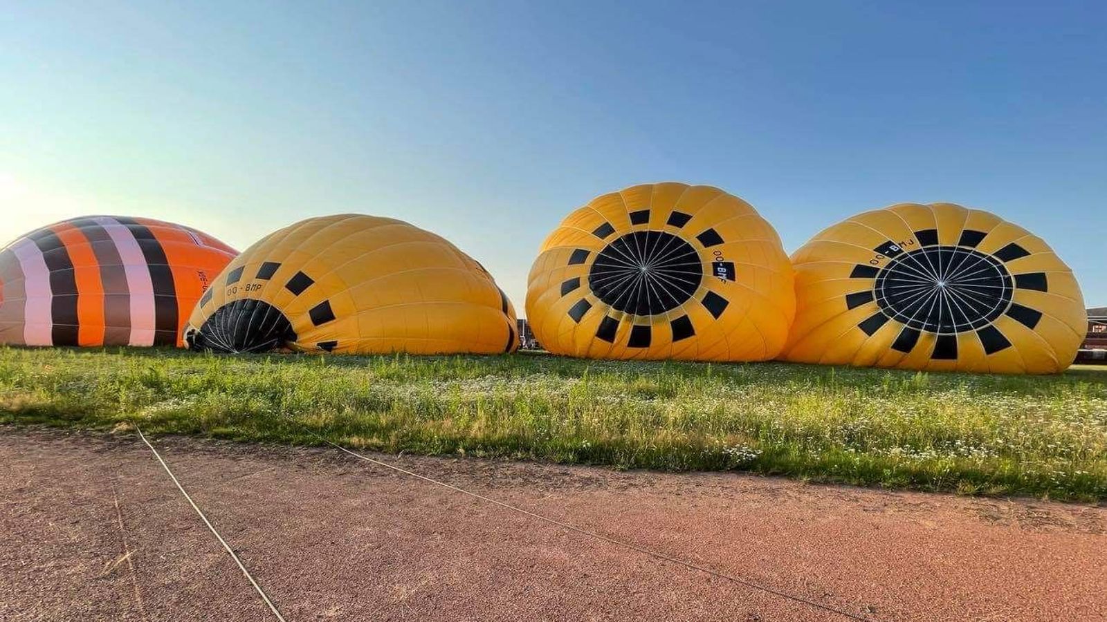 Cadeaubon ballonvaart Begijnendijk
