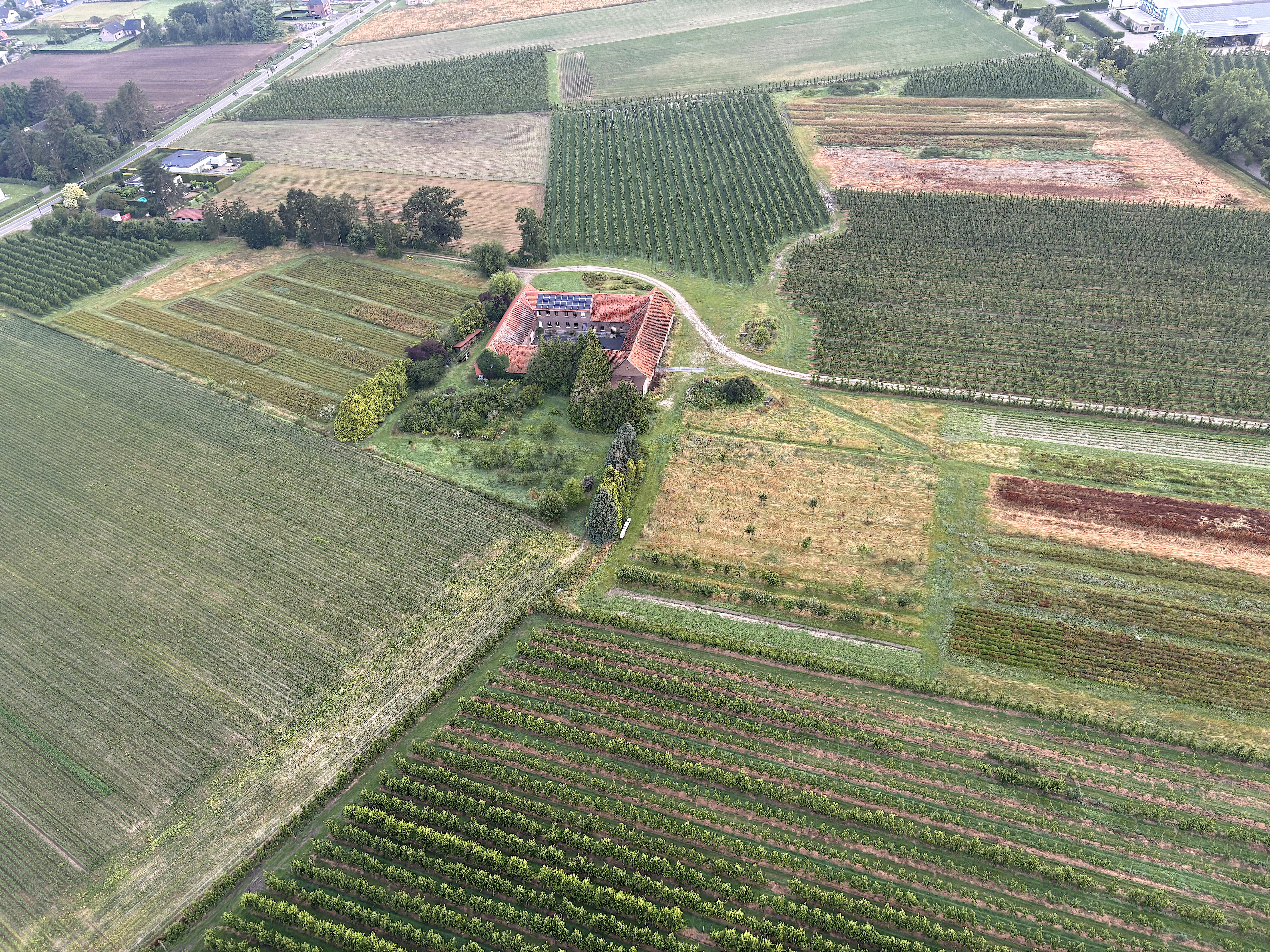 Luchtballonvaart Hechtel-Eksel