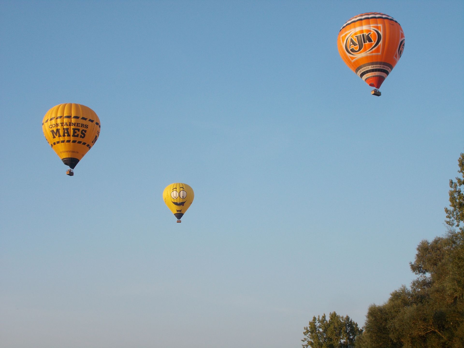 Cadeaubon Ballonvaart in Bilzen