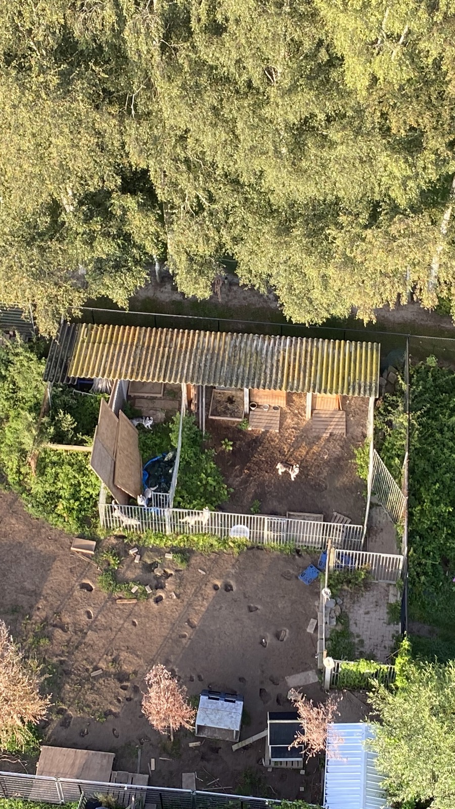 Ballonvluchten Valkenswaard