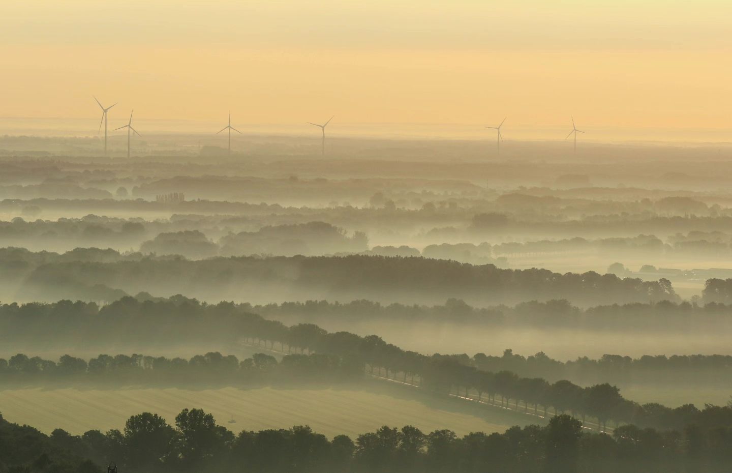 Ballonvlucht Oud-Heverlee