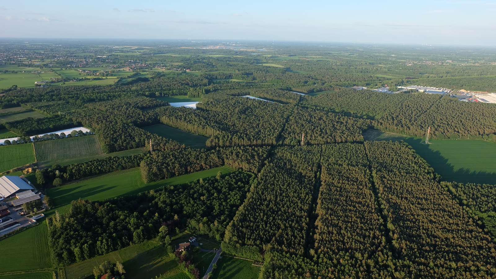 Ballonvaart Beringen