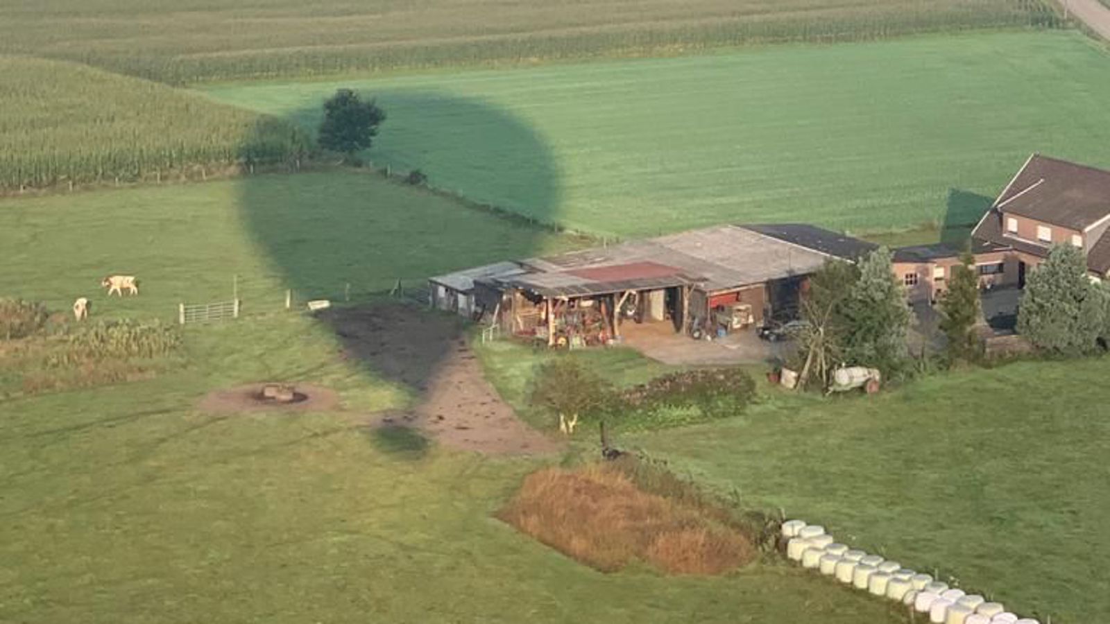 Ballonvaarten Tielt-Winge