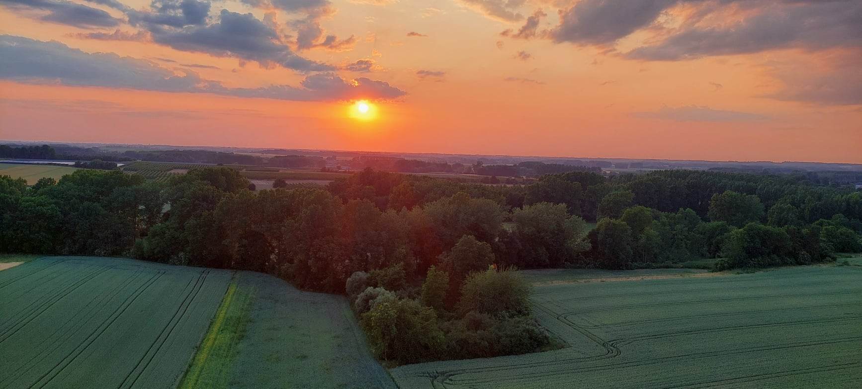 Cadeaubon Ballonvaart in Geel