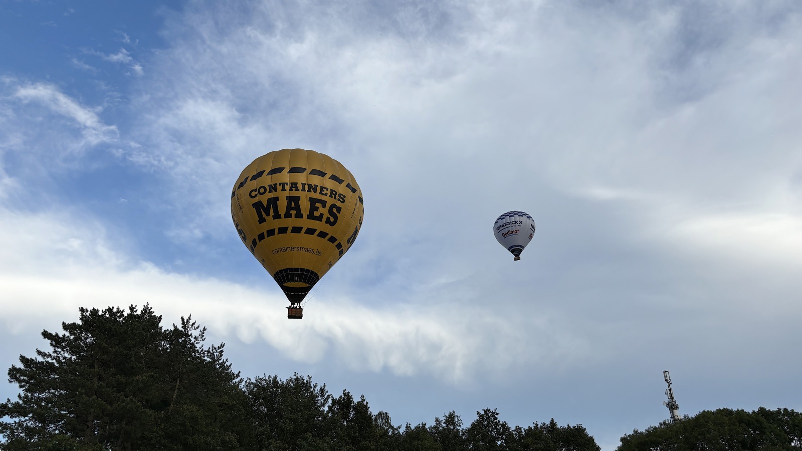 Ballonvaren Alken
