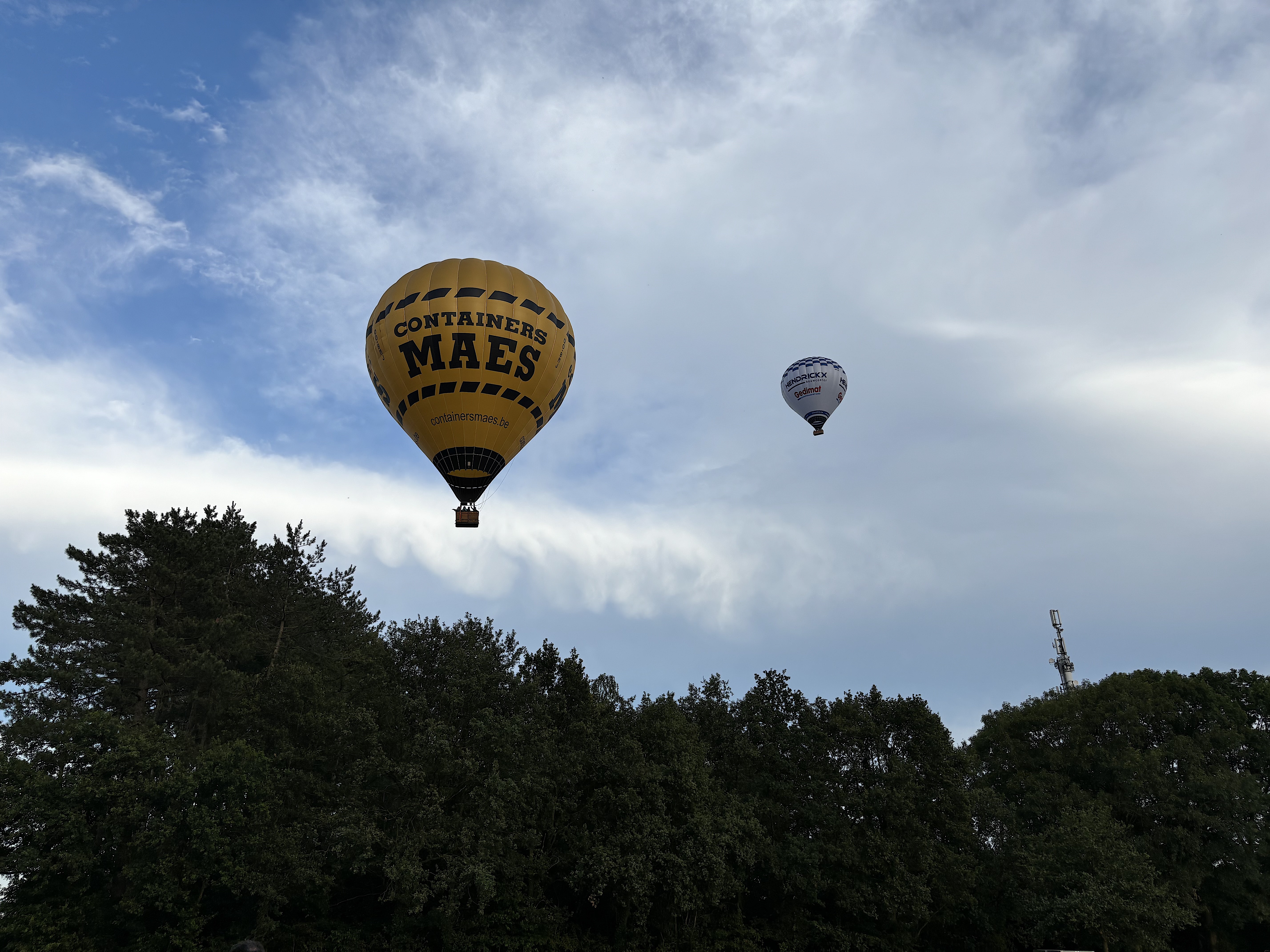 Ballonvaren Alken