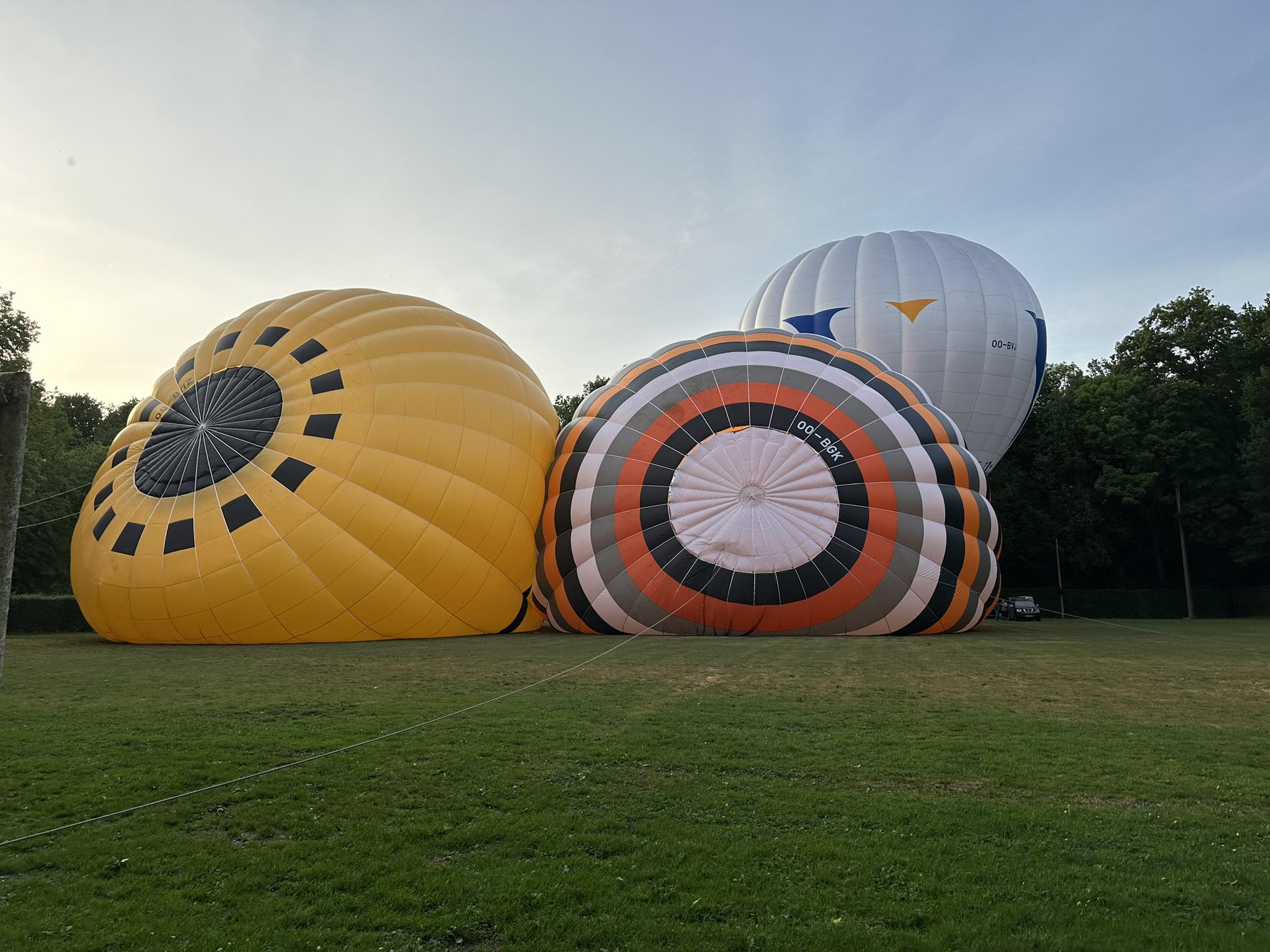 Ballonvlucht regio Hoogstraten
