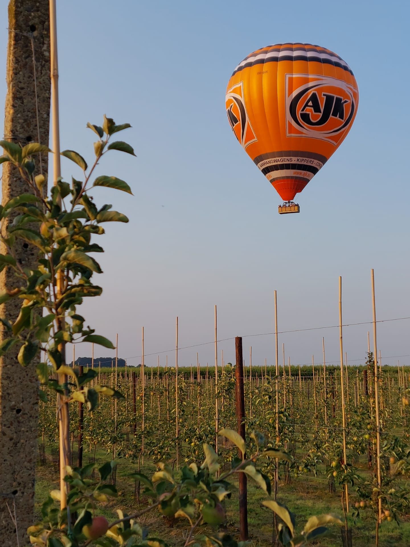 Ballonvaren Hamont-Achel