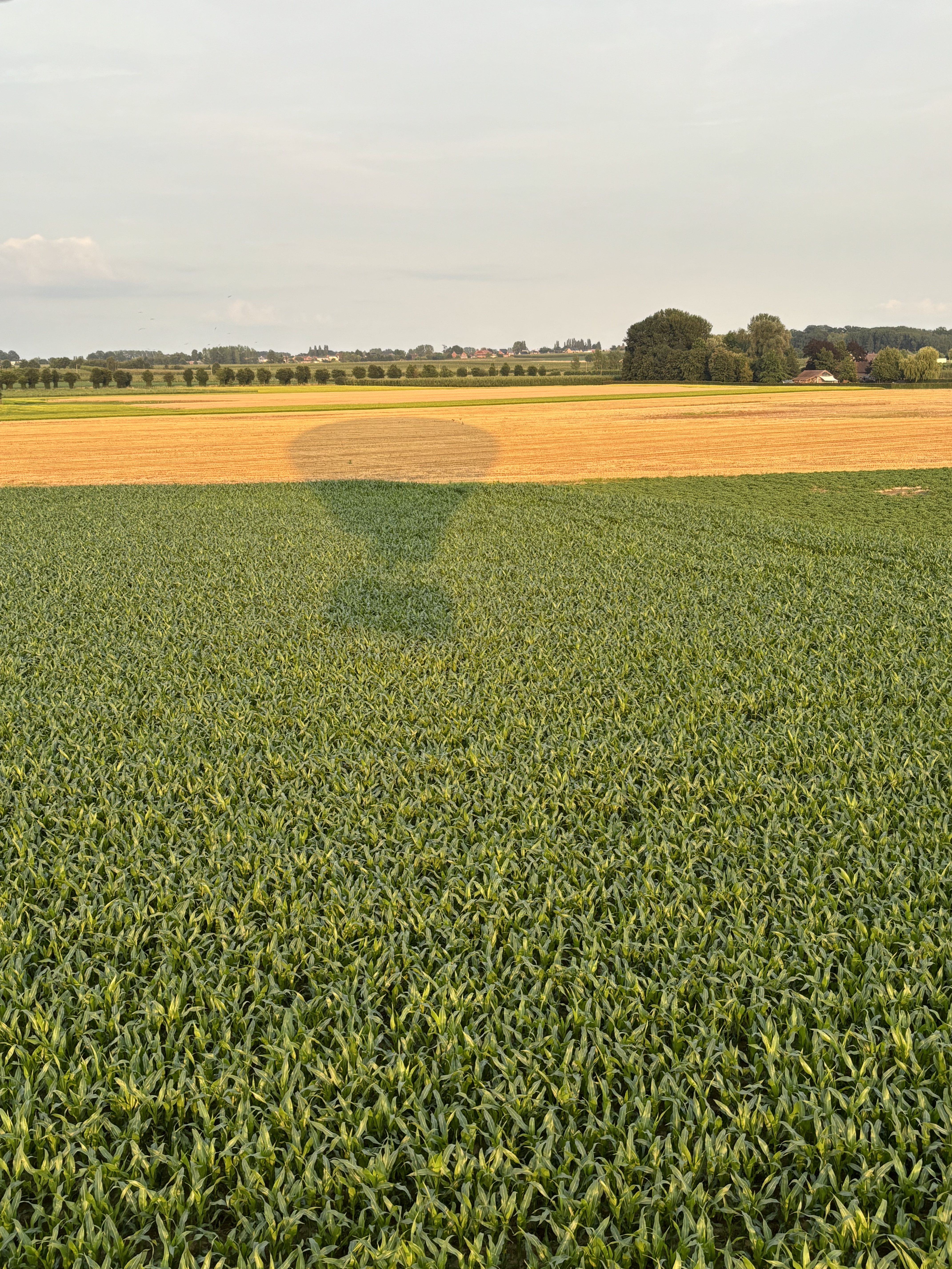 Ballonvaren Gingelom
