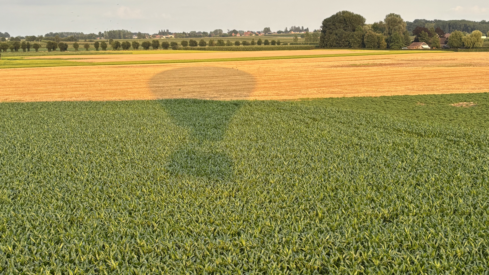 Ballonvaren Gingelom